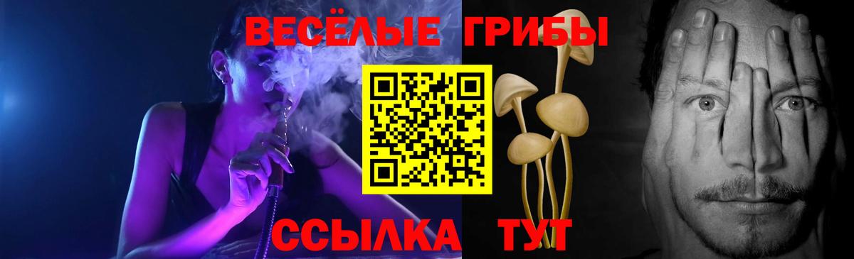 Омск  Псилоцибиновые грибы Magic Shrooms  Вход с VPN 